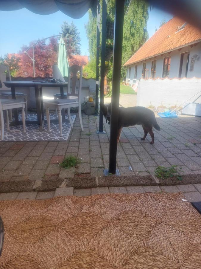 Kragkaer Deer-Lodge B&B A Unique Holiday Home Sæby Zewnętrze zdjęcie